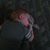 Gary Ewing's profile image