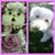 Mary Ibarra's profile image