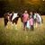 Julie Moller's profile image