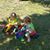 Tammy Warner-Janus's profile image