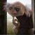 Bob Schwarz's profile image