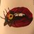 Brandy Smith Kemp's profile image