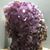 Randy Todd's profile image