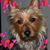 Liz Kuhlmeyer's profile image