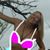 Maria Bardolf Eckerle's profile image