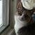 Lu Mercurio's profile image