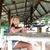 Ali McCandliss's profile image