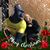 Sherry Kratochwil Mannese's profile image