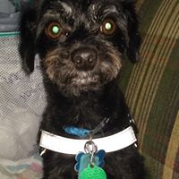 Christie Rucker's profile image