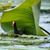 Shelly Hollen's profile image