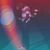 David Elston's profile image