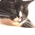 Willene Craig's profile image