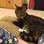 Billie Teta's profile image