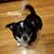 Dana Worrell Tatum's profile image