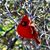 Pauline DeForest's profile image