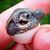 Susan Woita's profile image
