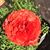 Betsy Reader's profile image
