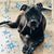 Teri Jones's profile image