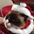 Linda Speckman Oliver's profile image