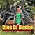 Laura Alvarez's profile image