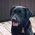 Pat Moore Sr.'s profile image