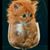 Catheryn Kelley's profile image