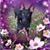 Deb Watt's profile image