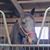 Toni Day Arvin's profile image