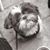 Rosanne Aleman Setoguchi's profile image