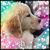 Jeanne Katz's profile image