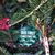 Roxanne Churas Dwyer's profile image