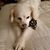 Joan Leskowsky Washburn's profile image