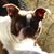 Colleen Conway Maxham's profile image