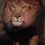 Tim Radigan's profile image