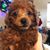 Cheryl Selvar's profile image