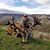 Bob Sandry's profile image