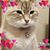 Gabriela Perez's profile image