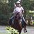Robin Hitchings's profile image