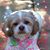 Lynette Gradisek's profile image