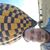 Juan RS's profile image