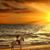 Linda Cushman English's profile image