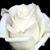 Pati Anderson's profile image