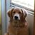 Nichole Dudack's profile image