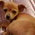 Janae Smith's profile image