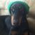 Austen Staydohar's profile image