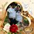 Tomas Rangel's profile image