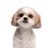 Sandy L.'s profile image