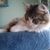 Meredith Beck's profile image