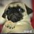 Michael Heflin's profile image