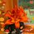Jean Nardone Gross's profile image